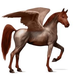 riding pegasus hanoverian dark bay