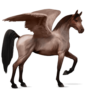 riding pegasus akhal-teke roan