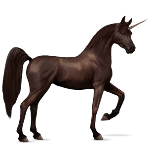 riding unicorn arabian horse liver chestnut
