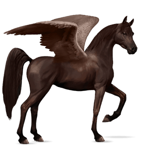 riding pegasus thoroughbred liver chestnut