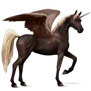 winged riding unicorn arabian horse dark bay
