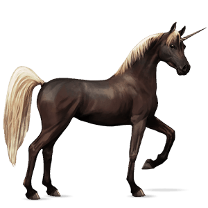 riding unicorn arabian horse fleabitten grey