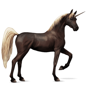 riding unicorn arabian horse light grey