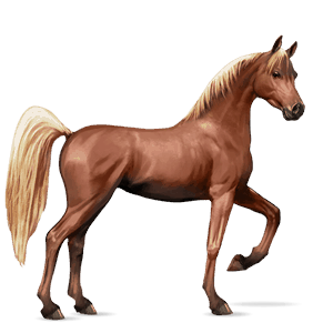riding horse mustang flaxen chestnut 