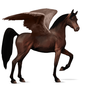 riding pegasus liver chestnut