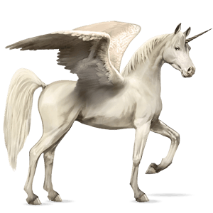 winged riding unicorn shagya arabian light grey