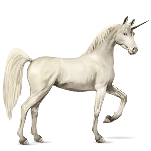 riding unicorn shagya arabian light grey