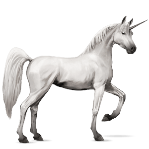 riding unicorn shagya arabian light grey