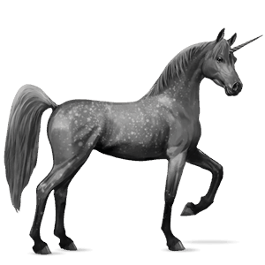 riding unicorn shagya arabian fleabitten grey