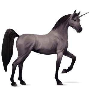 riding unicorn fleabitten grey