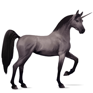 riding unicorn shagya arabian light grey