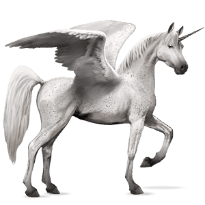 winged riding unicorn arabian horse fleabitten grey