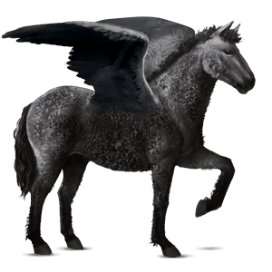 riding pegasus curly black