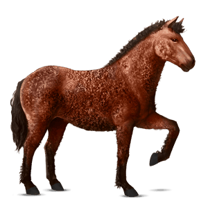 riding horse curly chestnut