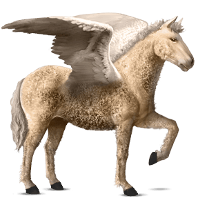 riding pegasus selle français palomino