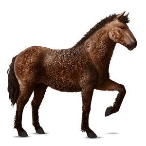 riding horse akhal-teke mouse grey