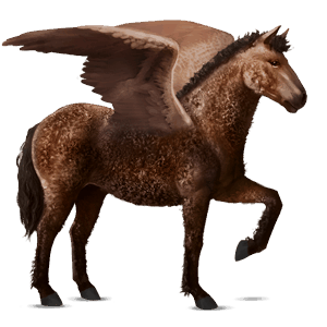 riding pegasus curly bay
