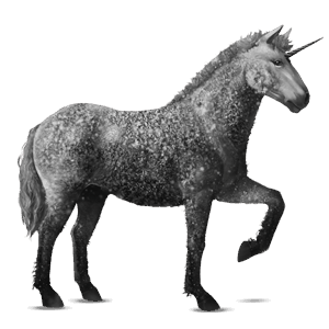 riding unicorn shagya arabian dapple grey