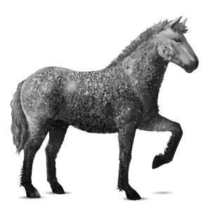 riding horse curly dun