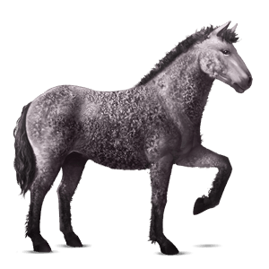riding horse purebred spanish horse dapple grey