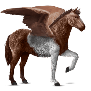 riding pegasus curly liver chestnut tobiano