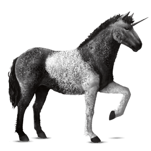 riding unicorn vanner black tobiano