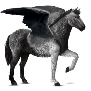 riding pegasus paint horse dark bay overo