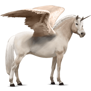 winged unicorn pony  newfoundland pony light grey