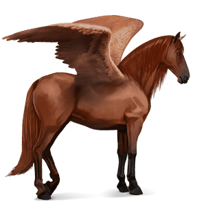 riding pegasus thoroughbred cherry bay