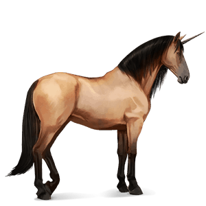 riding unicorn bay
