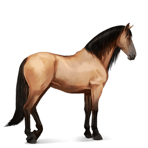 riding horse lipizzan dapple grey