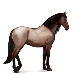 riding horse purebred spanish horse dapple grey