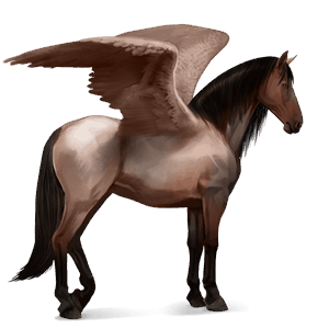 riding pegasus thoroughbred roan
