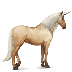 riding unicorn purebred spanish horse dun