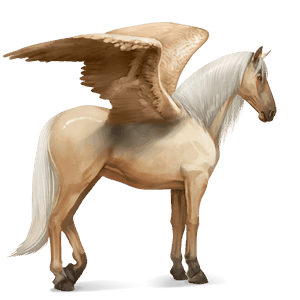 riding pegasus friesian black