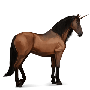 riding unicorn akhal-teke bay