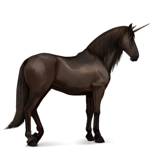 riding unicorn purebred spanish horse liver chestnut