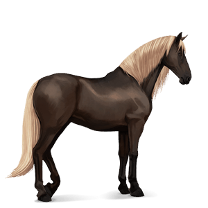 riding horse cremello