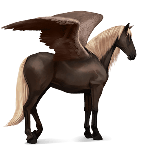 riding pegasus cherry bay