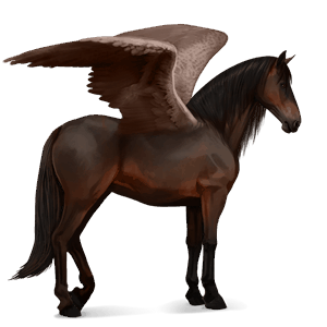 riding pegasus arabian horse fleabitten grey