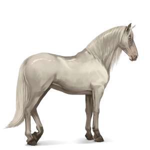 riding horse purebred spanish horse mouse grey