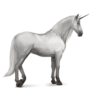 riding unicorn purebred spanish horse light grey