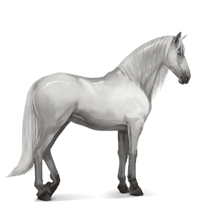 riding horse akhal-teke light grey