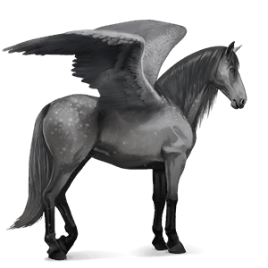 riding pegasus dapple grey