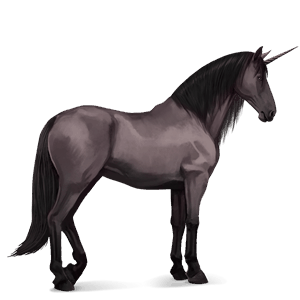 riding unicorn lipizzan dapple grey