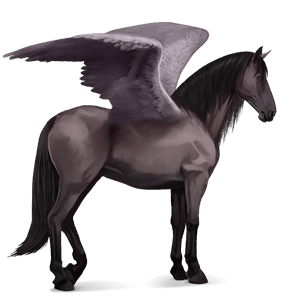 riding pegasus purebred spanish horse light grey
