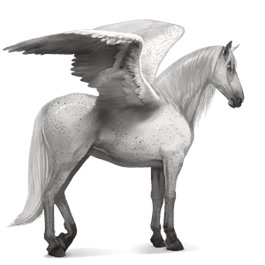 riding pegasus fleabitten grey
