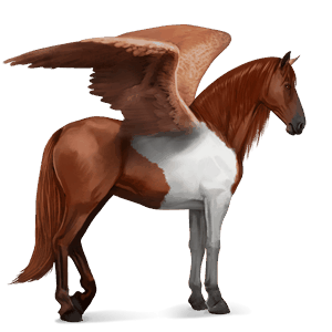 riding pegasus paint horse cherry bay tobiano