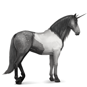riding unicorn argentinean criollo chestnut