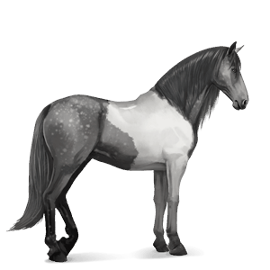 riding horse akhal-teke cremello